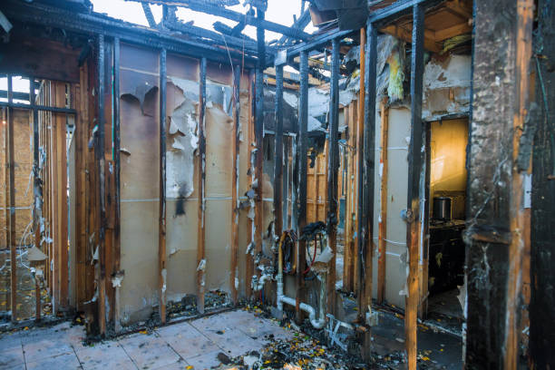 Professional Odor Removal technician working in Glencoe, FL