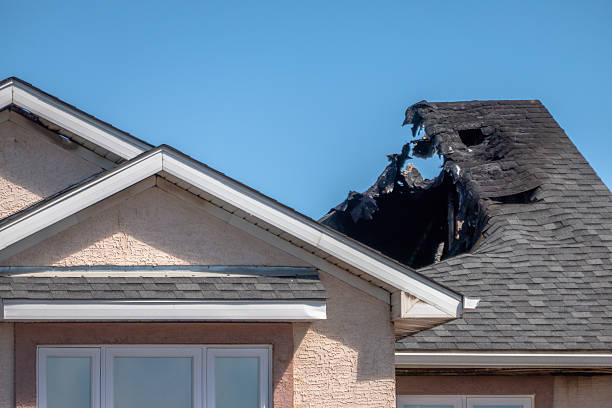 Top rated local Odor Removal specialists in Glencoe, FL